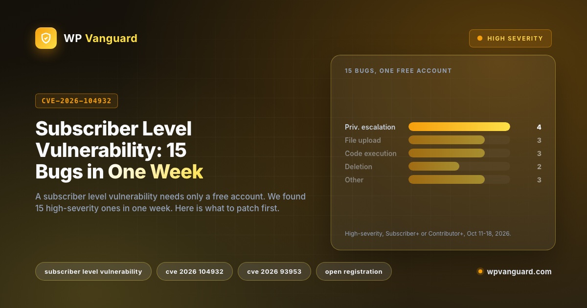 Subscriber Level Vulnerability: 15 Bugs in One Week