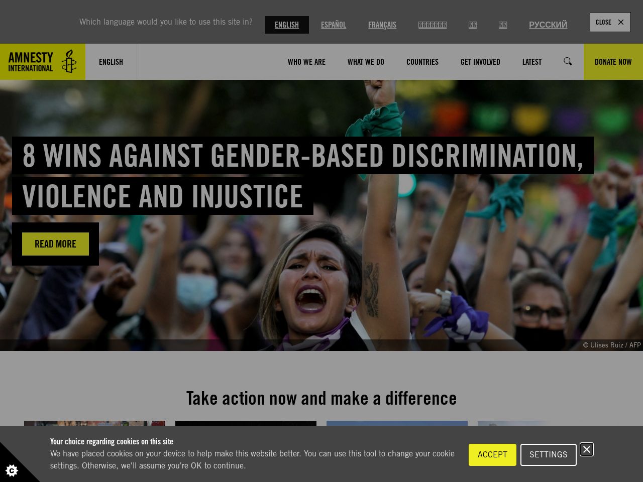 Screenshot of https://amnesty.org