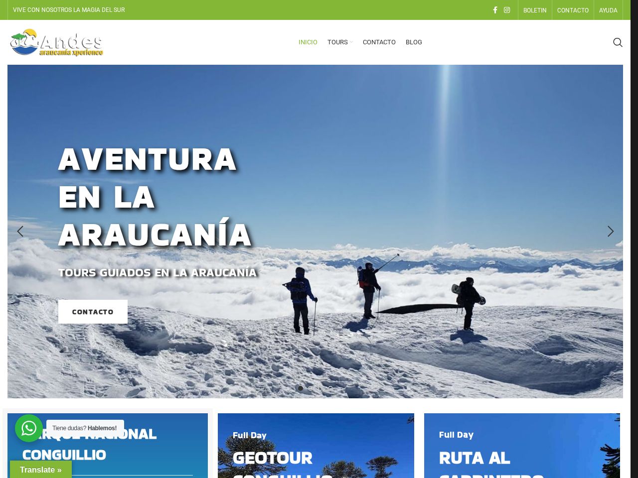 Screenshot of https://andesaraucania.cl