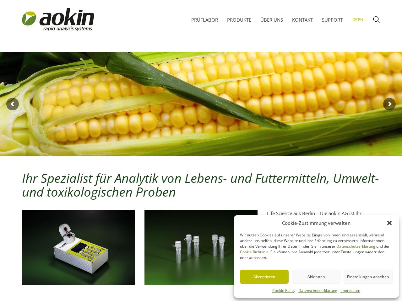 Screenshot of https://aokin.de
