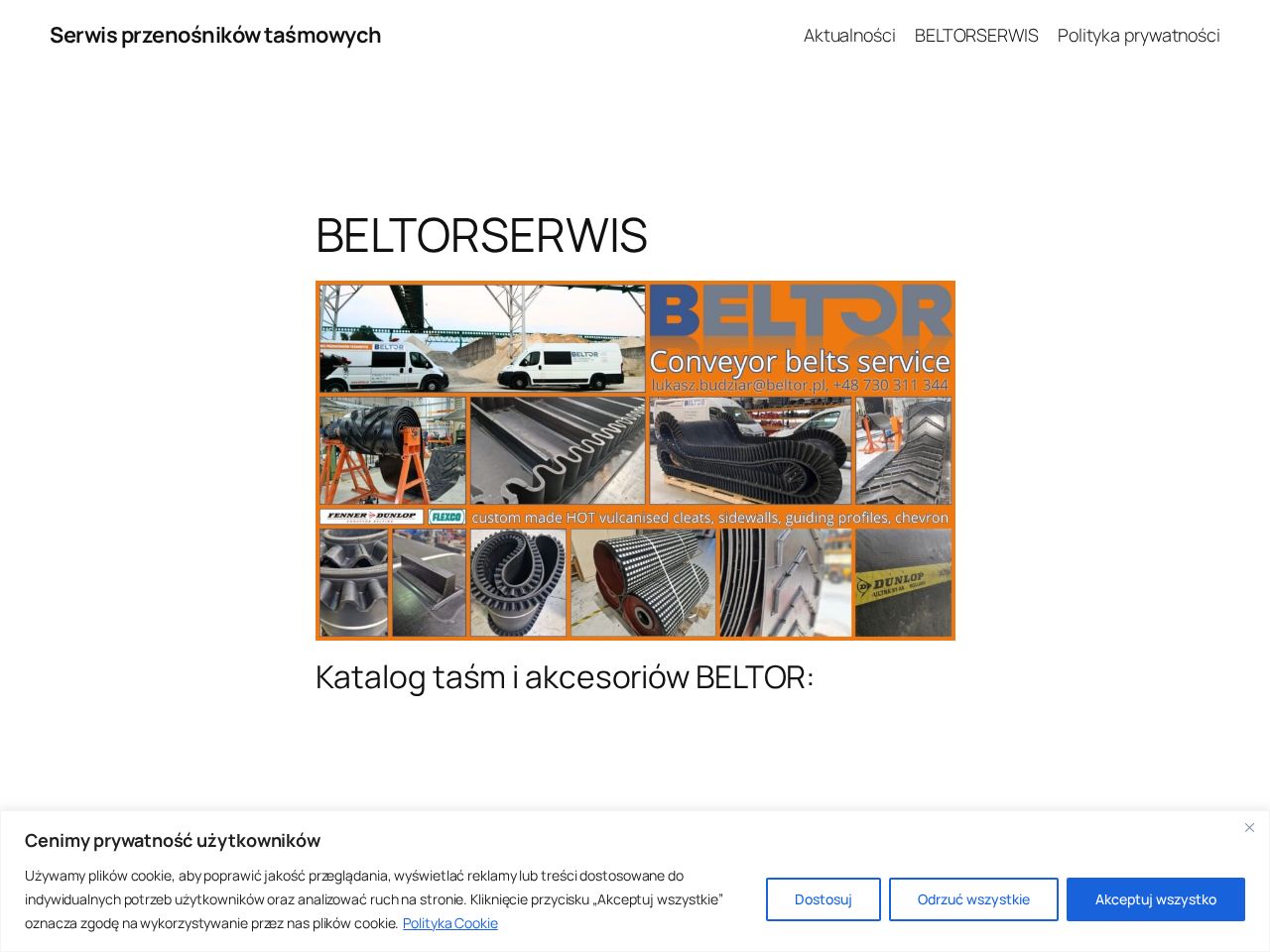 Screenshot of https://beltorserwis.pl
