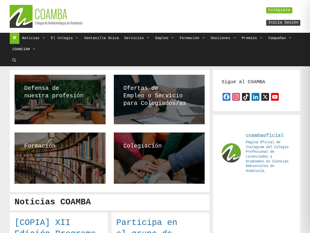 Screenshot of http://coamba.es