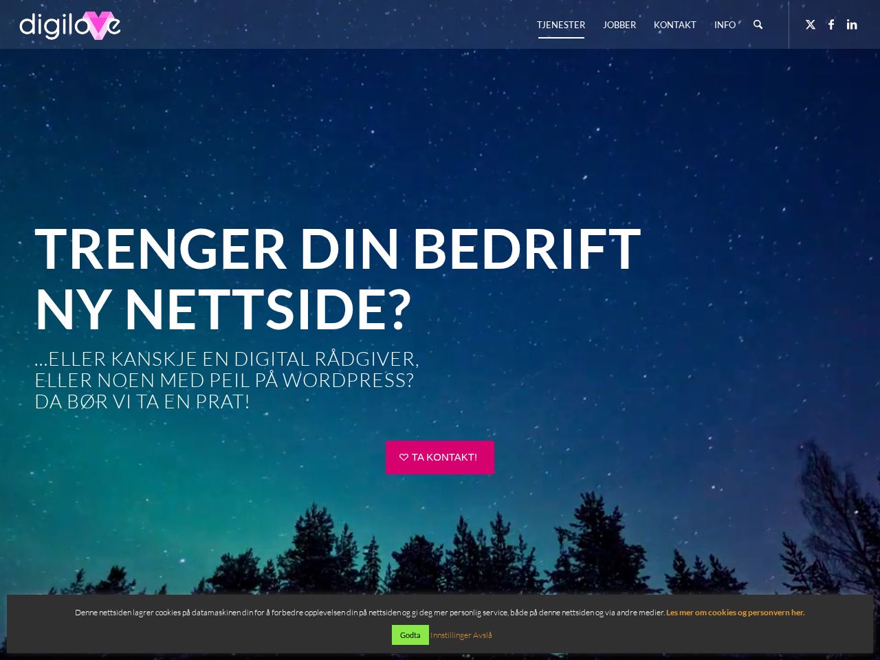 Screenshot of https://digilove.no