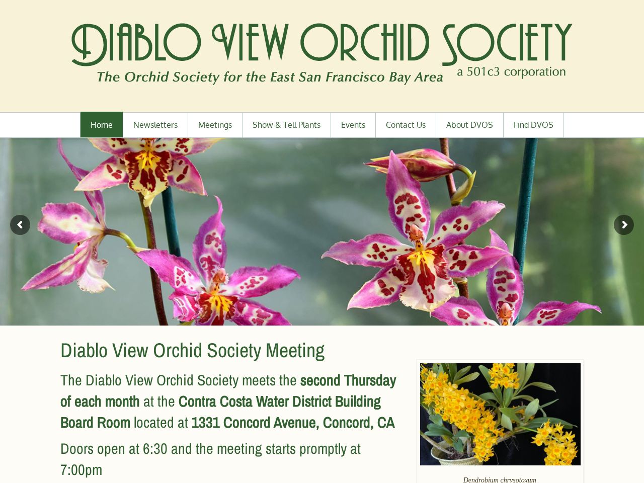 Screenshot of https://dvos.org