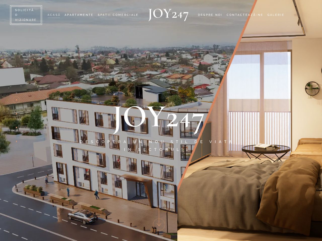 Screenshot of https://joy247.ro