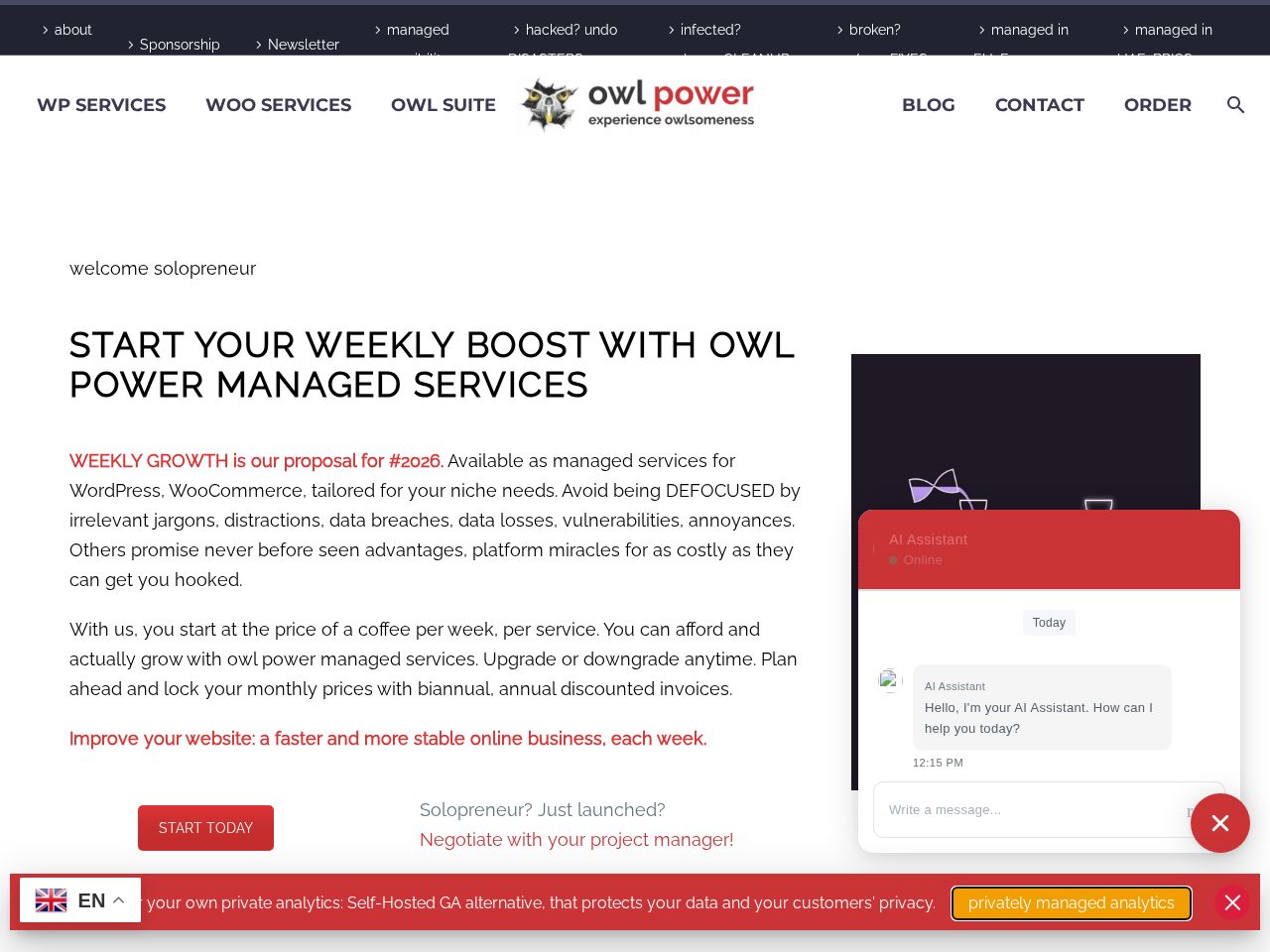 Screenshot of https://owlpower.eu