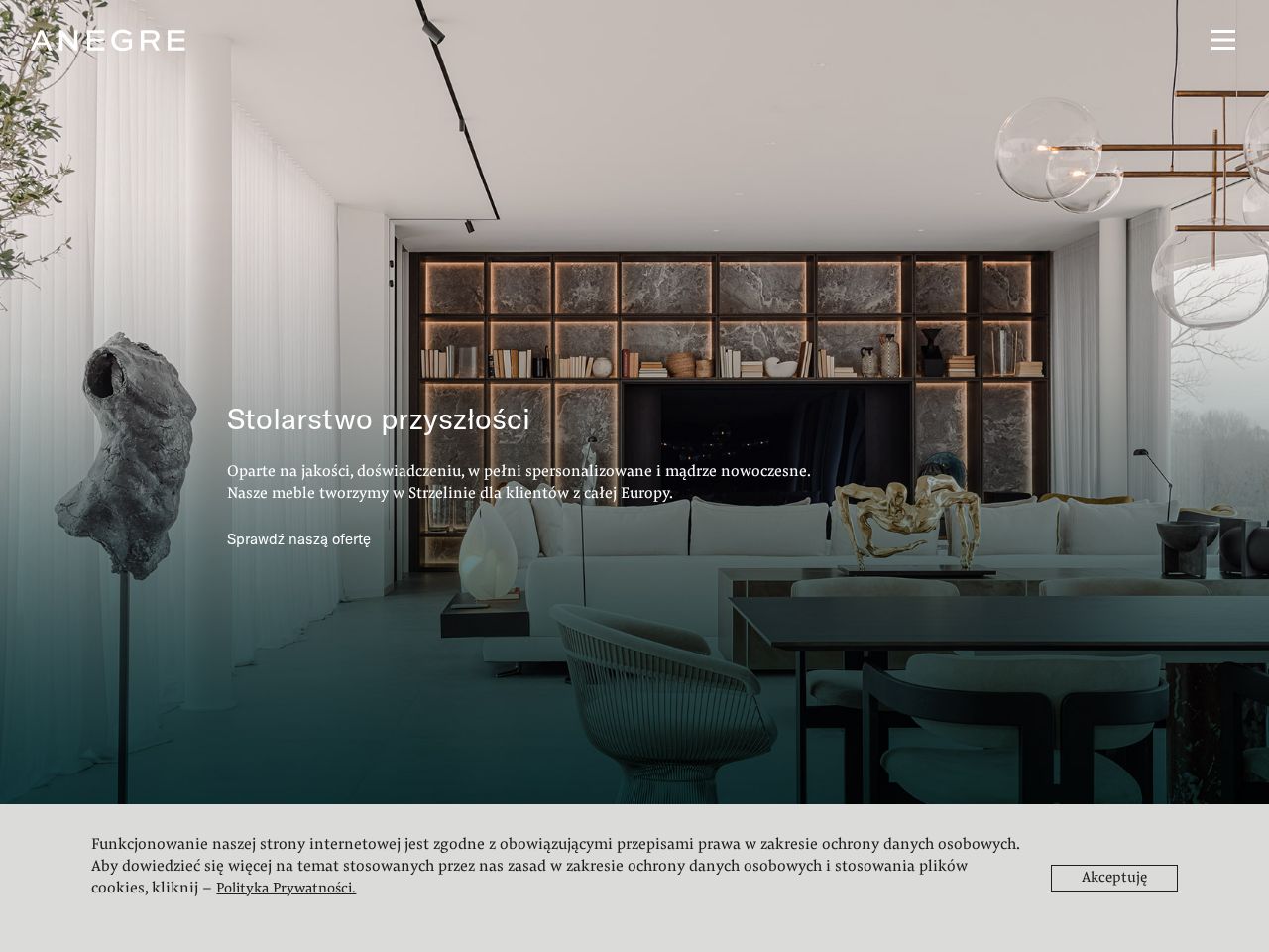 Screenshot of https://www.anegre.pl